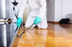 شركة مكافحة حشرات الإمارات